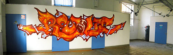  fresques Spray, 5 mètres par 2